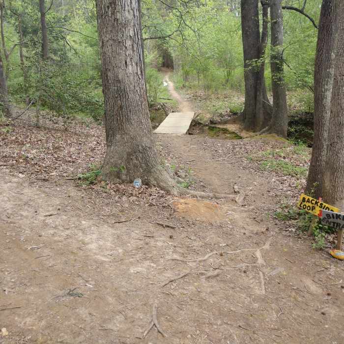 Near Purser-Hulsey Park Trail