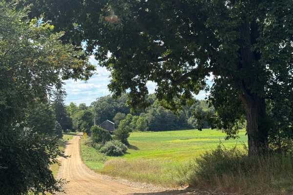 Camp Trail