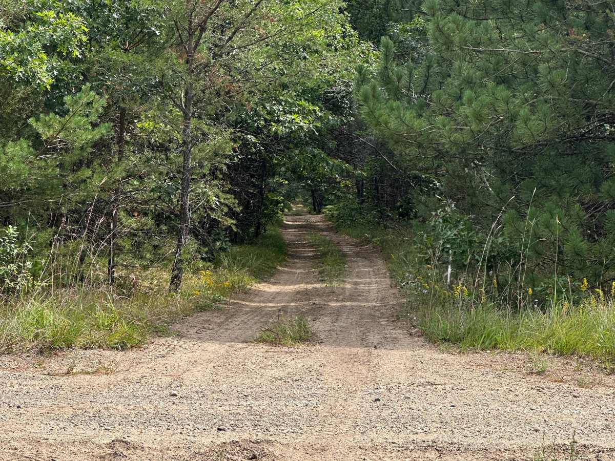 Muma Road photo 6