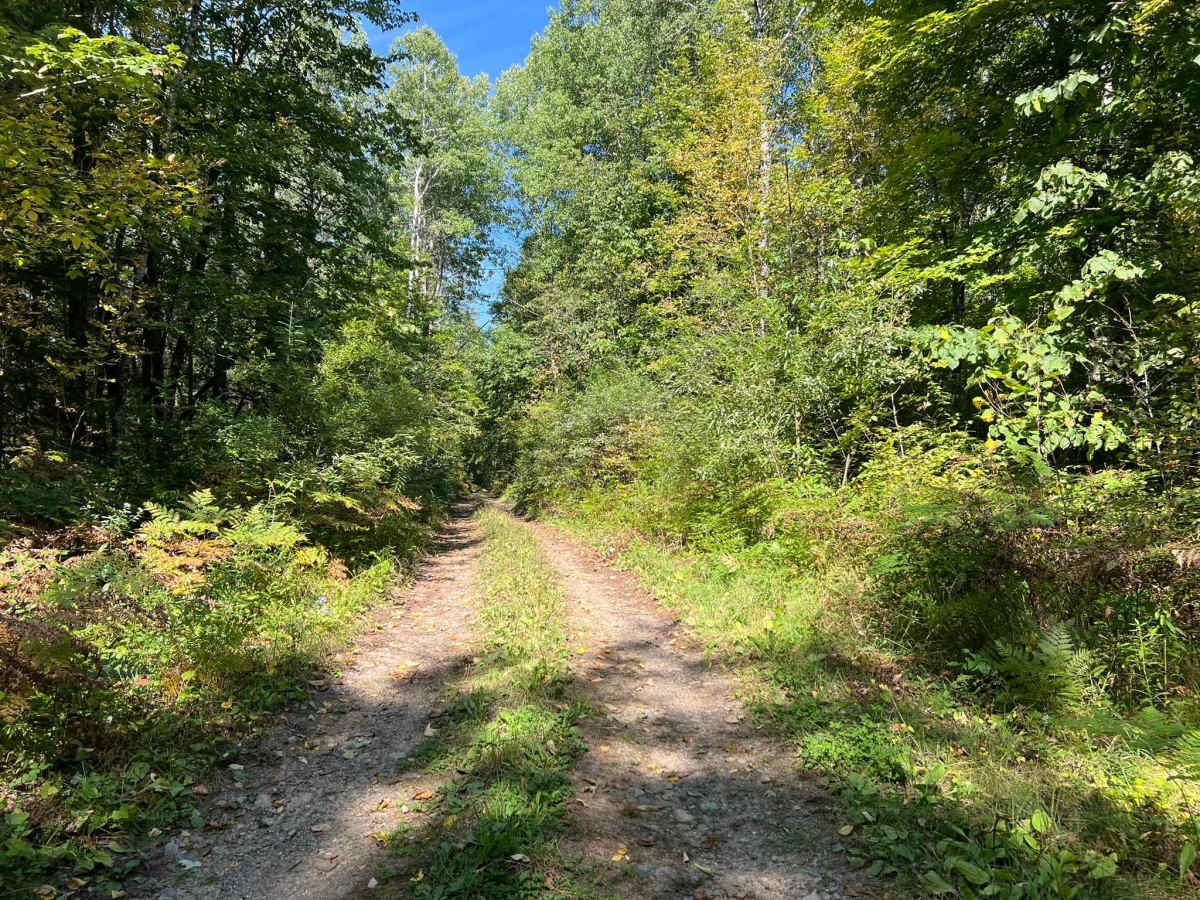 FS 2675 trail photo