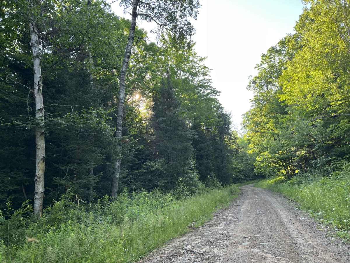 Northwoods Drive photo 2