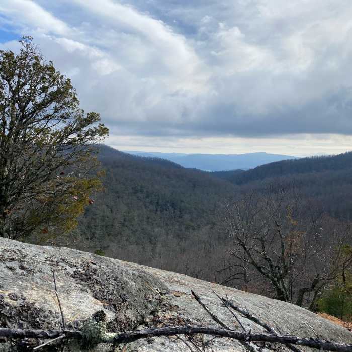 View half way up the hike! Near Cedar Rock South Ridge Trail