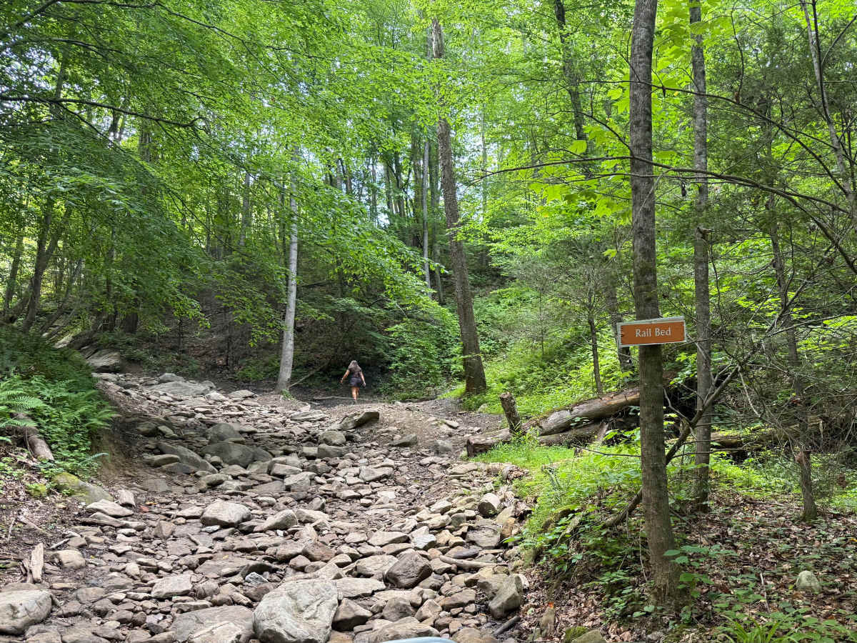 Rail Bed photo 3