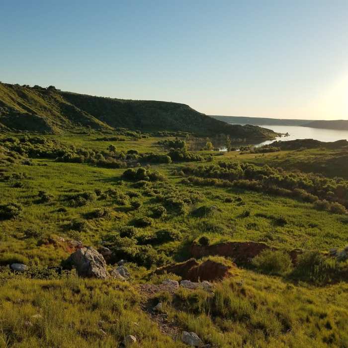 View from trail back toward lake. June 2019. Near Harbor Bay Trail