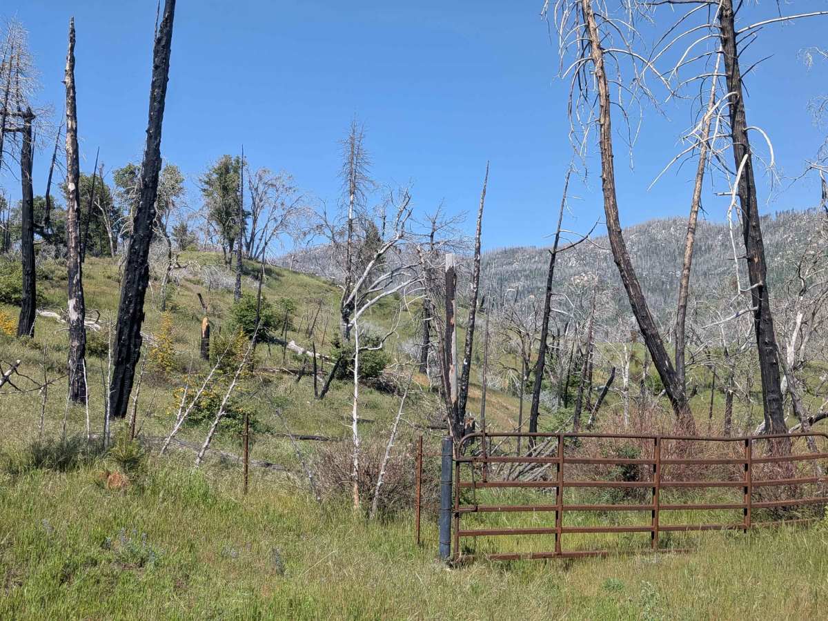 Starvation Creek - FS 23S65 photo 5