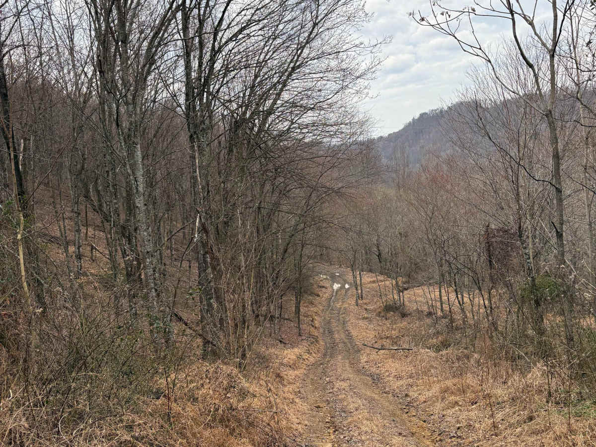 Trail 3 photo 4