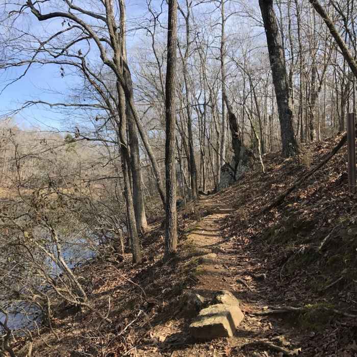The trail along Moore's Pond in the early spring. Near Chewacla State Park