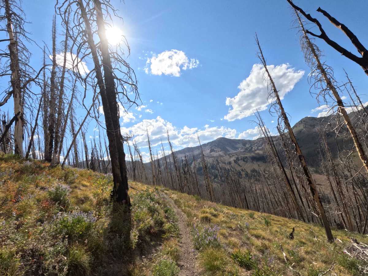 Castle Rock - FS 7140 photo 3