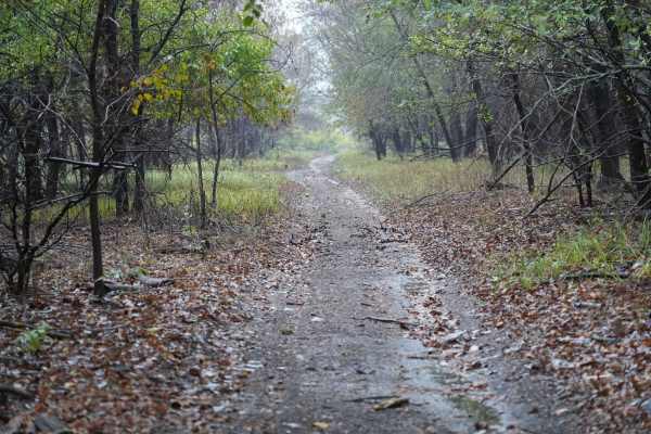 Otter Creek Main Trail