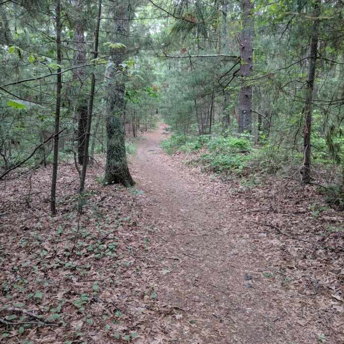 Smooth trail on Strawberry Hill Trail Near Noanet Peak - Powissett Peak