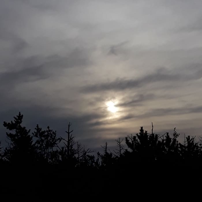 Returning on the inland road under the winter sun. Near East Beach Loop
