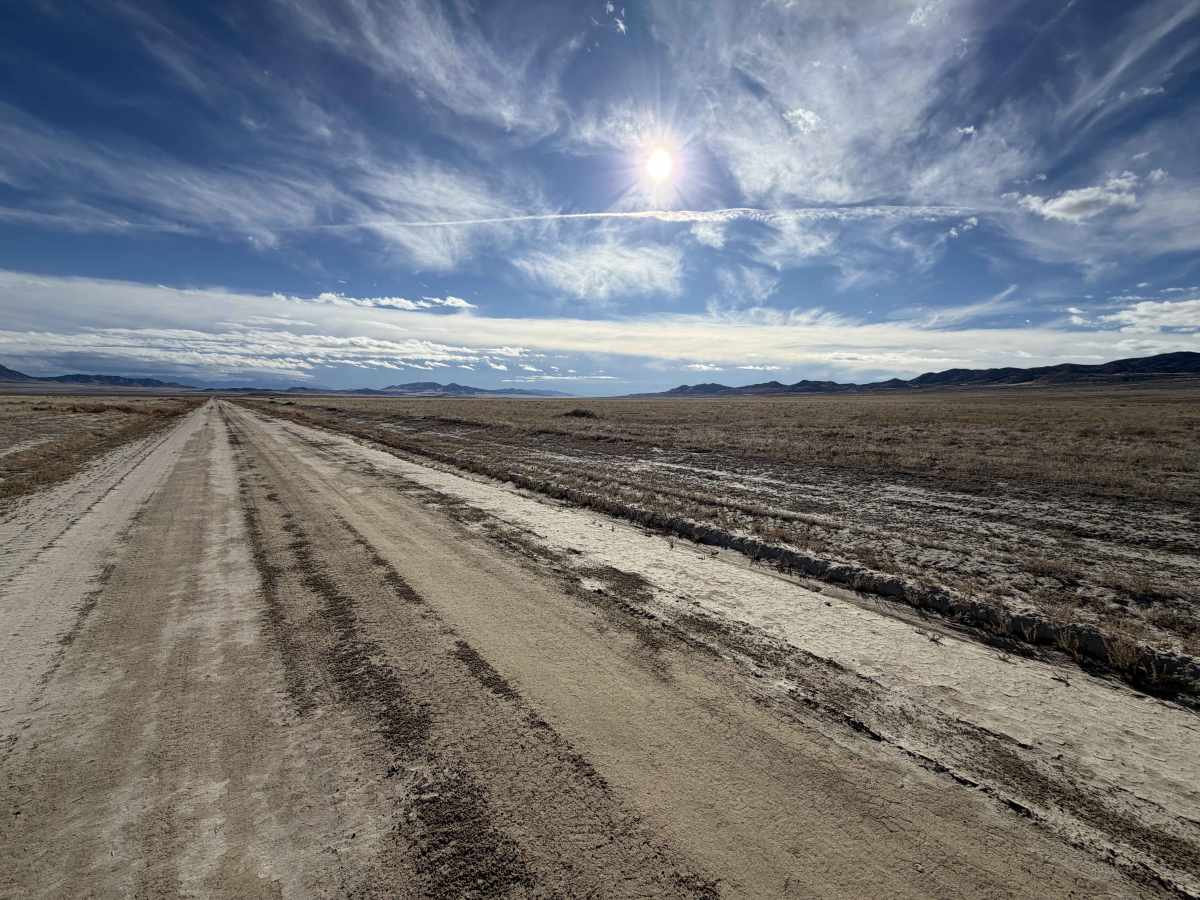 North Alkaline Valley Road photo 5