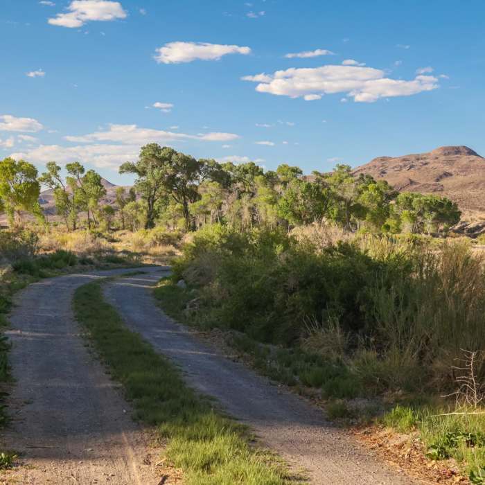 Near Waterway-Davenport Loop Near Waterway-Davenport Loop