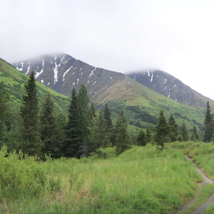 Near Crescent Creek Trail