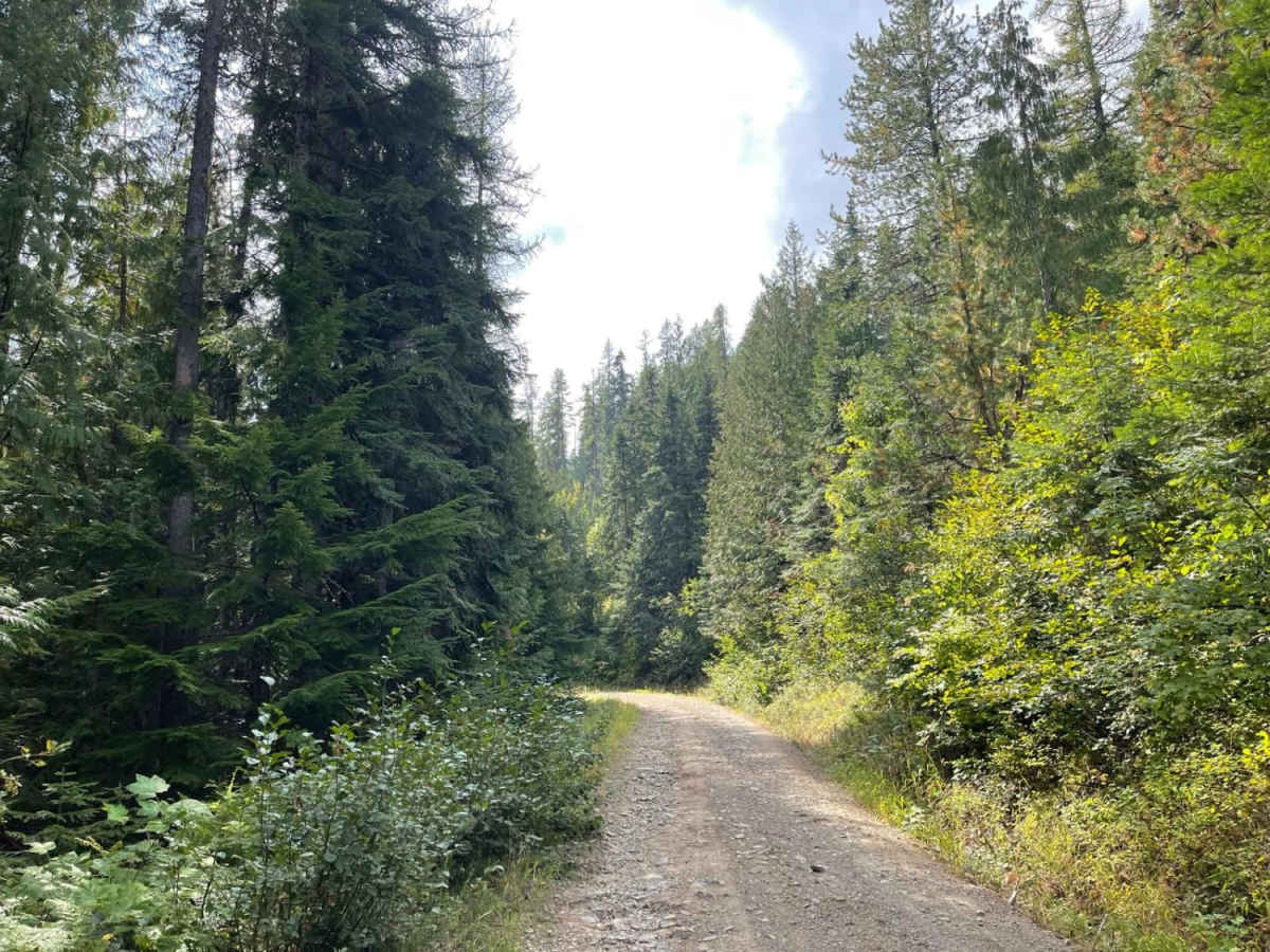 Johnson's Vista Trail photo 6