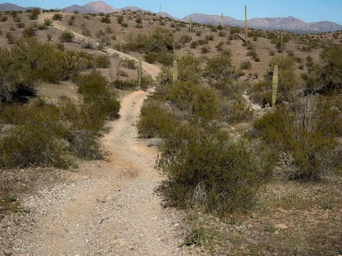 Hs65l trail photo