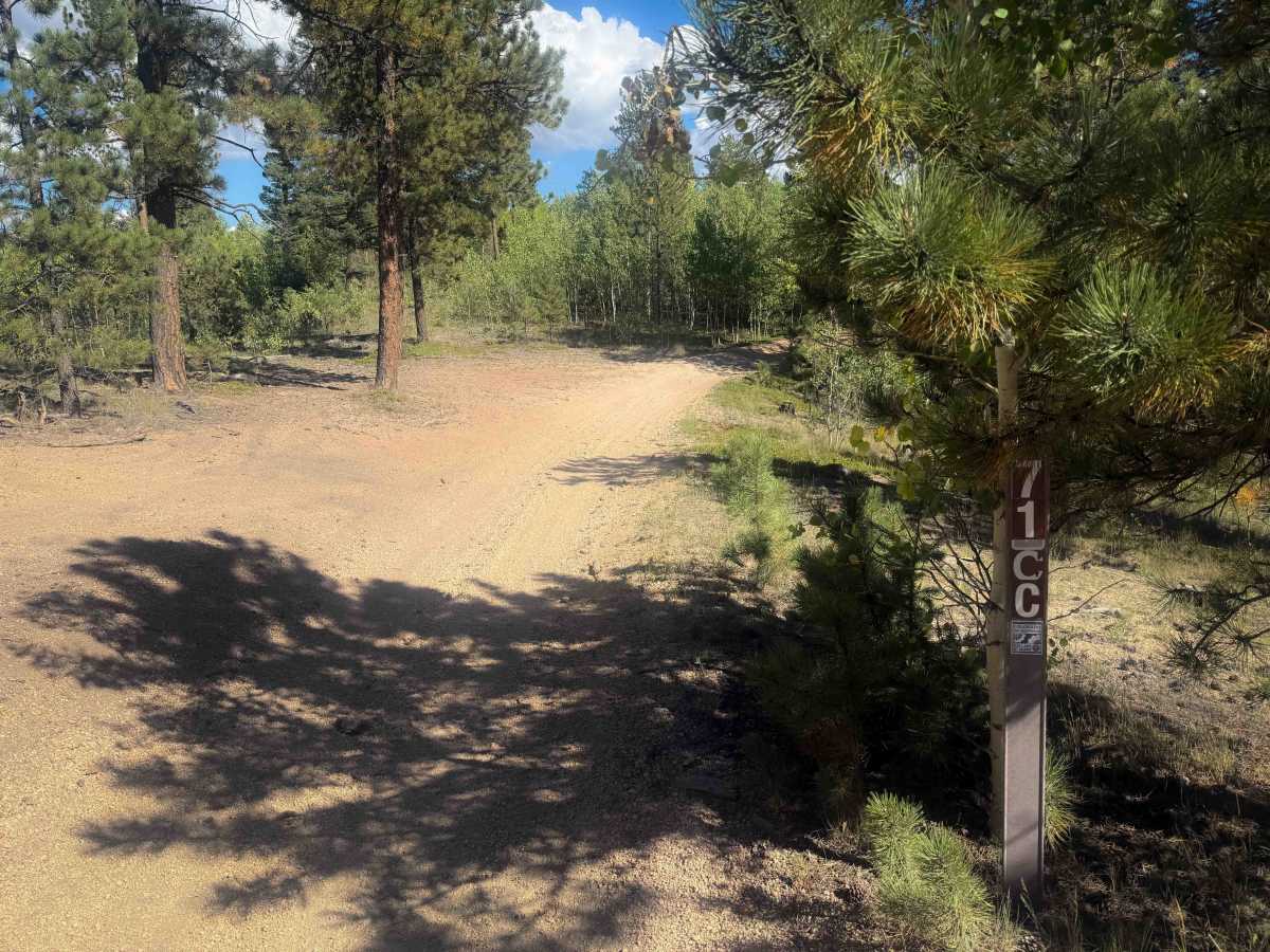 Davis Spur Trail 717C  photo 3