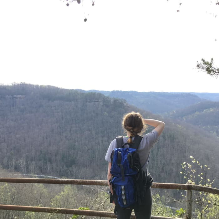 Near Raven Rock Road