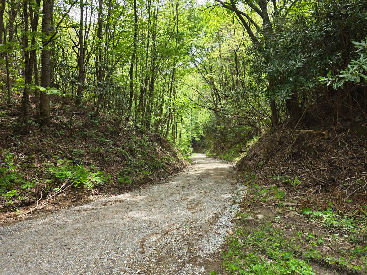 Atoah Gap photo 3
