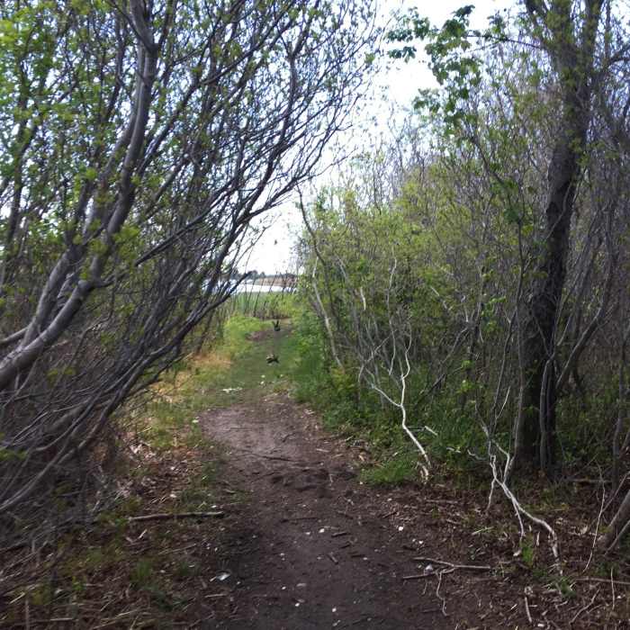 Near Marine Park: West Loop