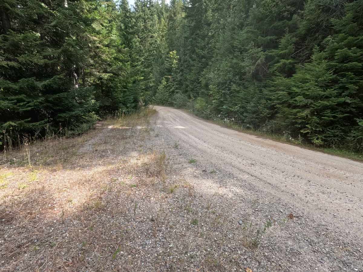 Greenhood - FS 2730 photo 6