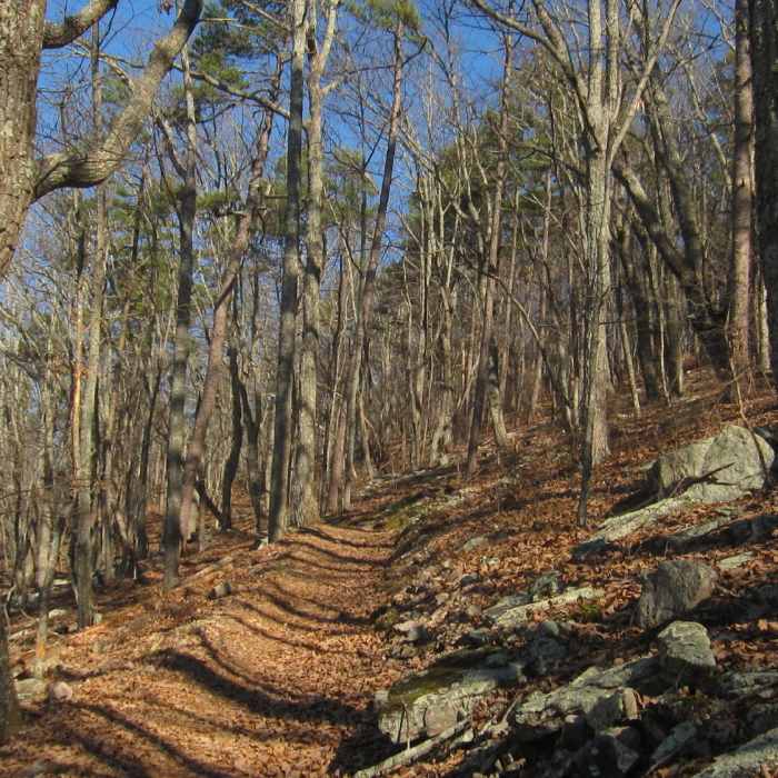 Near Pinhoti Trail: Section 23