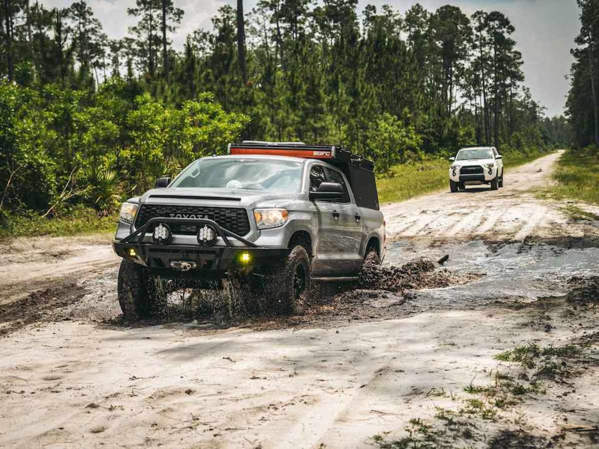 Osceola National Forest FR 235/17 Mile Camp Rd photo 3