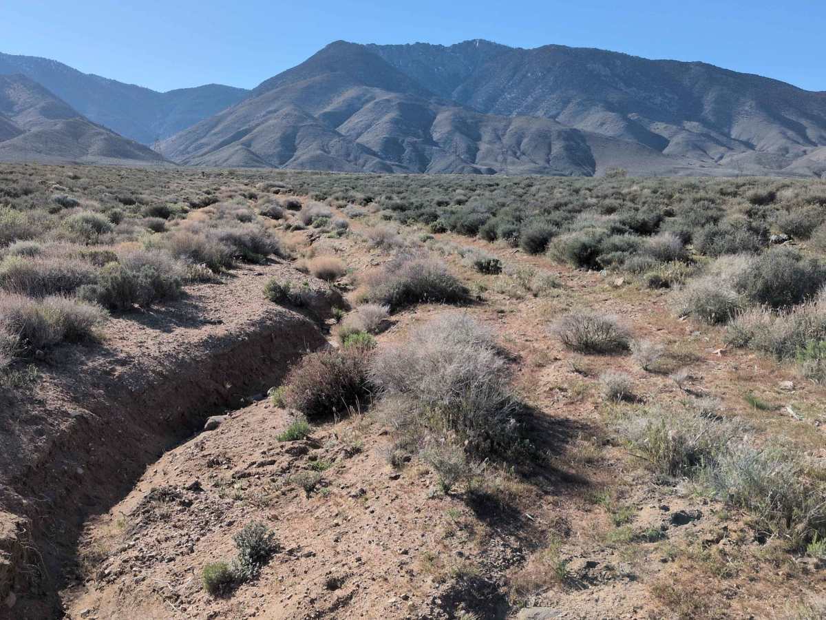 BLM 37E402 trail photo