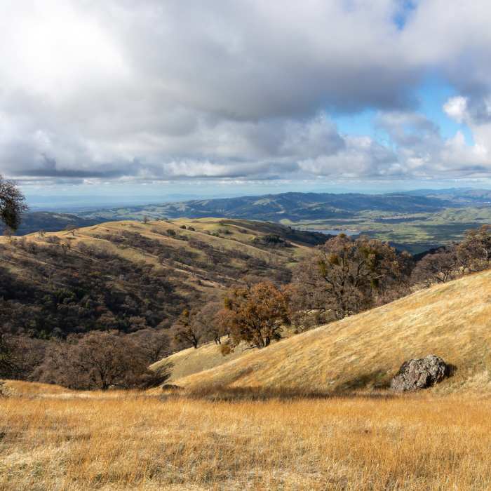Near Springboard Trail