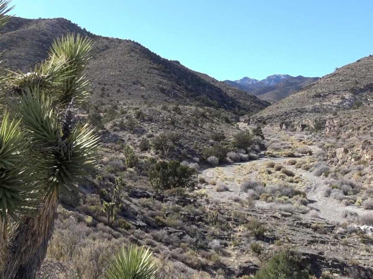 Mormon Well Road photo 4