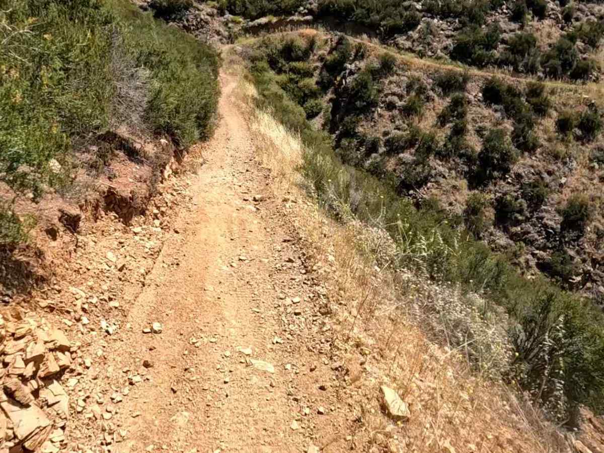 Coyote OHV Trail photo 5