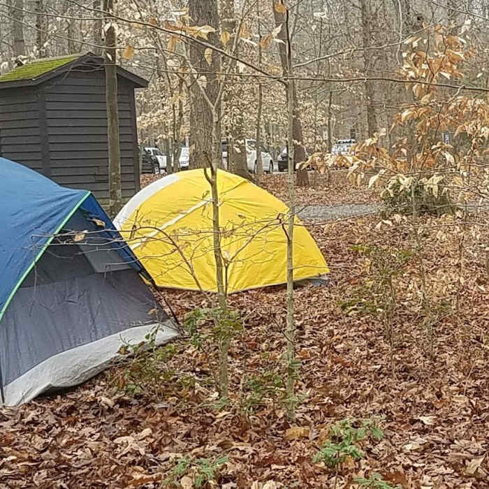 Near Turkey Run Loop