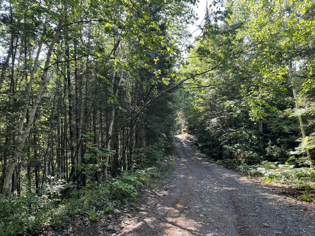 Rock Creek Road - Florence County F14 photo 5