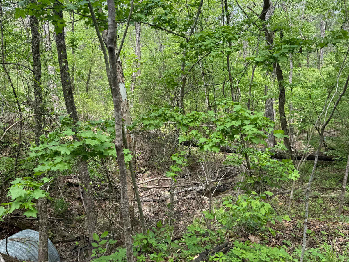 Spirits Circle trail photo