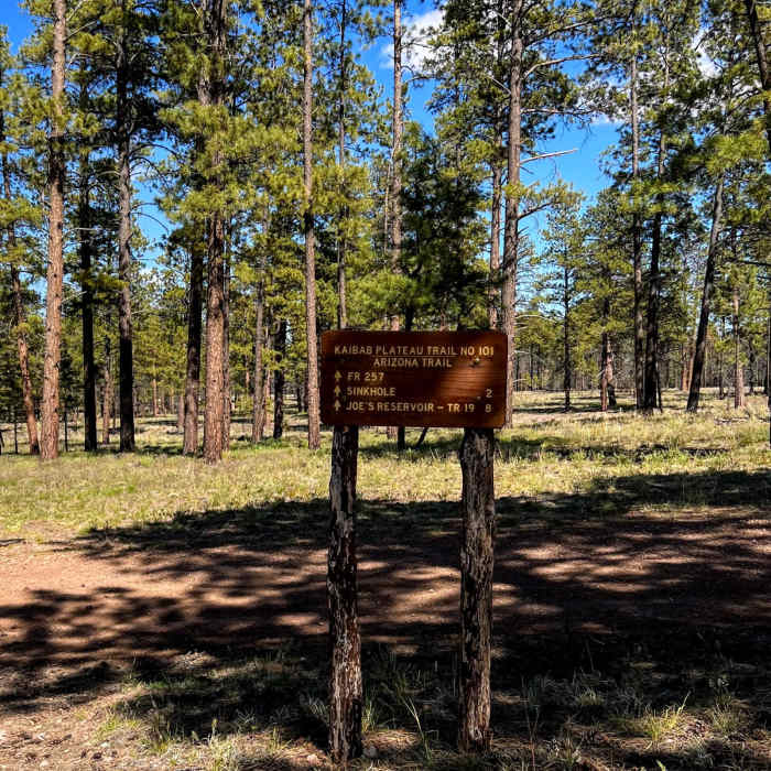 Near Arizona Trail Passage 42: Kaibab Plateau - North