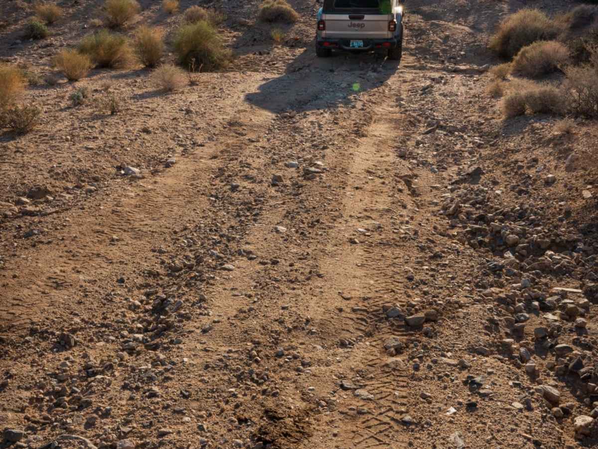 Old Woman Mountains Wilderness Pipeline Road photo 4