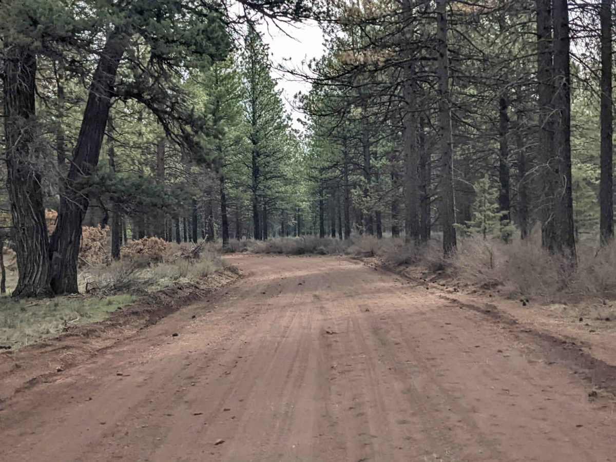 Sisters Connector trail photo