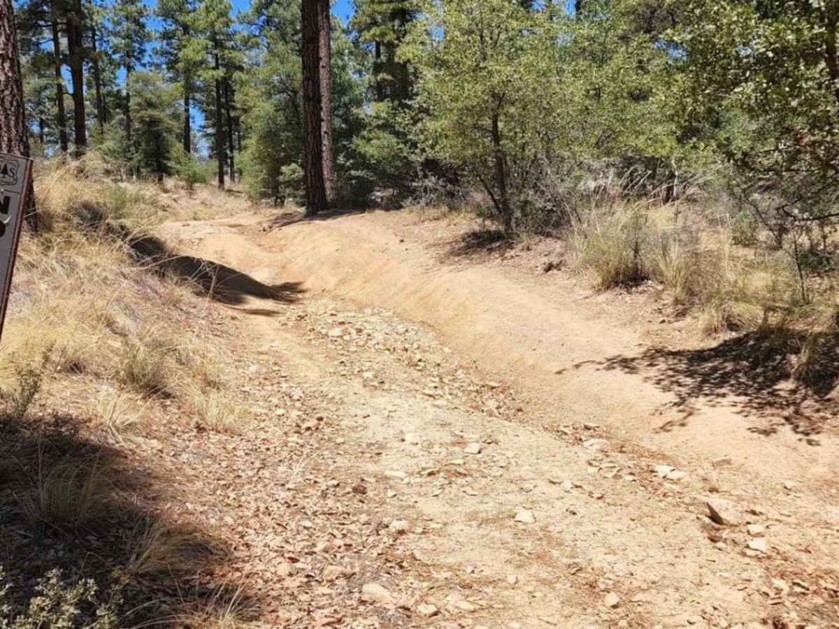 Pipeline trail photo