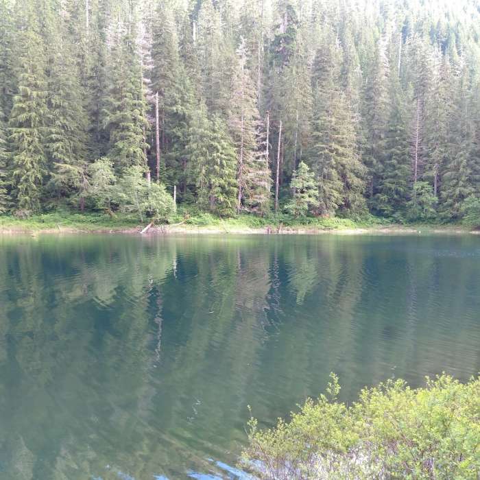 Near Spider Lake Trail #879