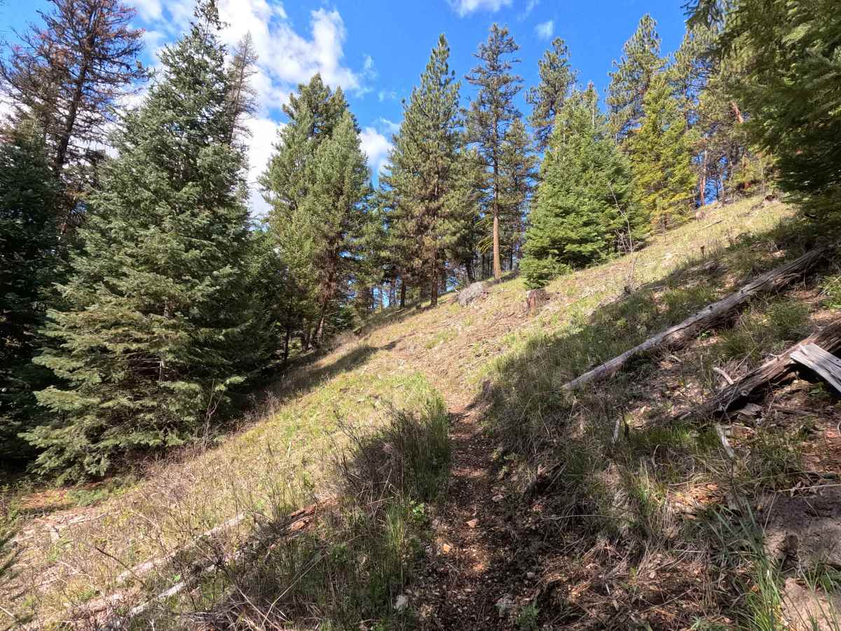Trail 56 photo 6