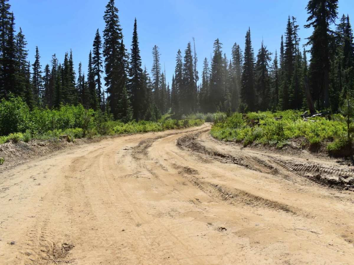 Jubilee to Tiger Creek photo 2