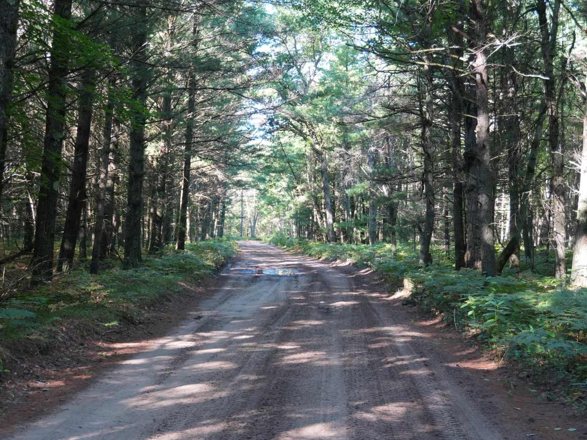 West Rollway Road photo 4