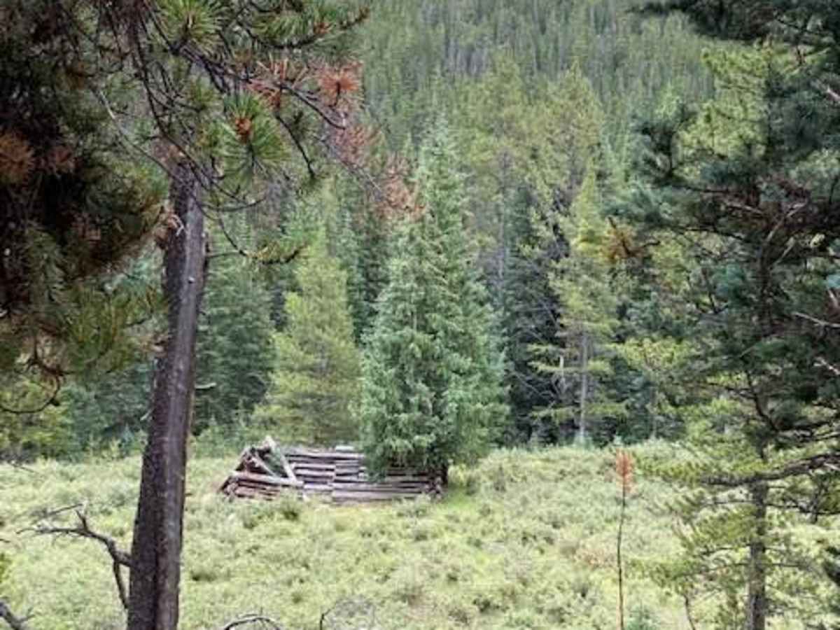 Cameron Creek photo 4