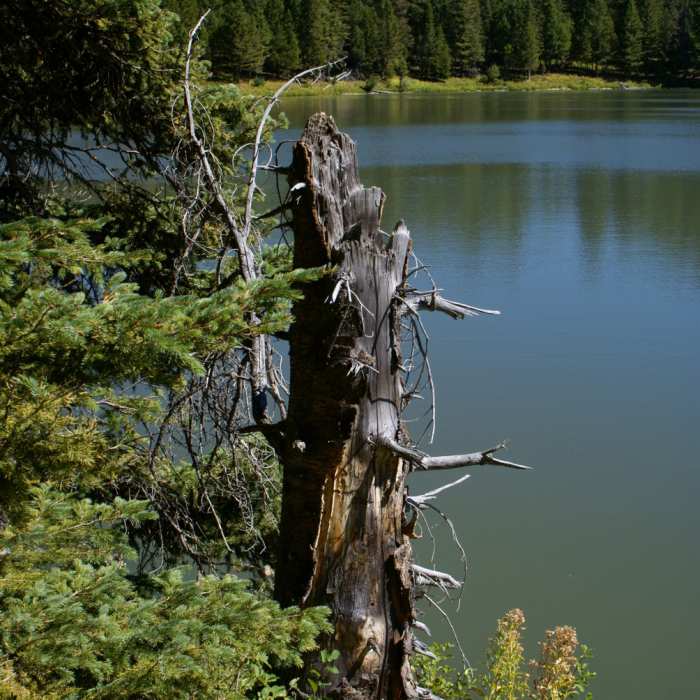 Rat Lake. with permission from geogeek Near Rat Lake Trail