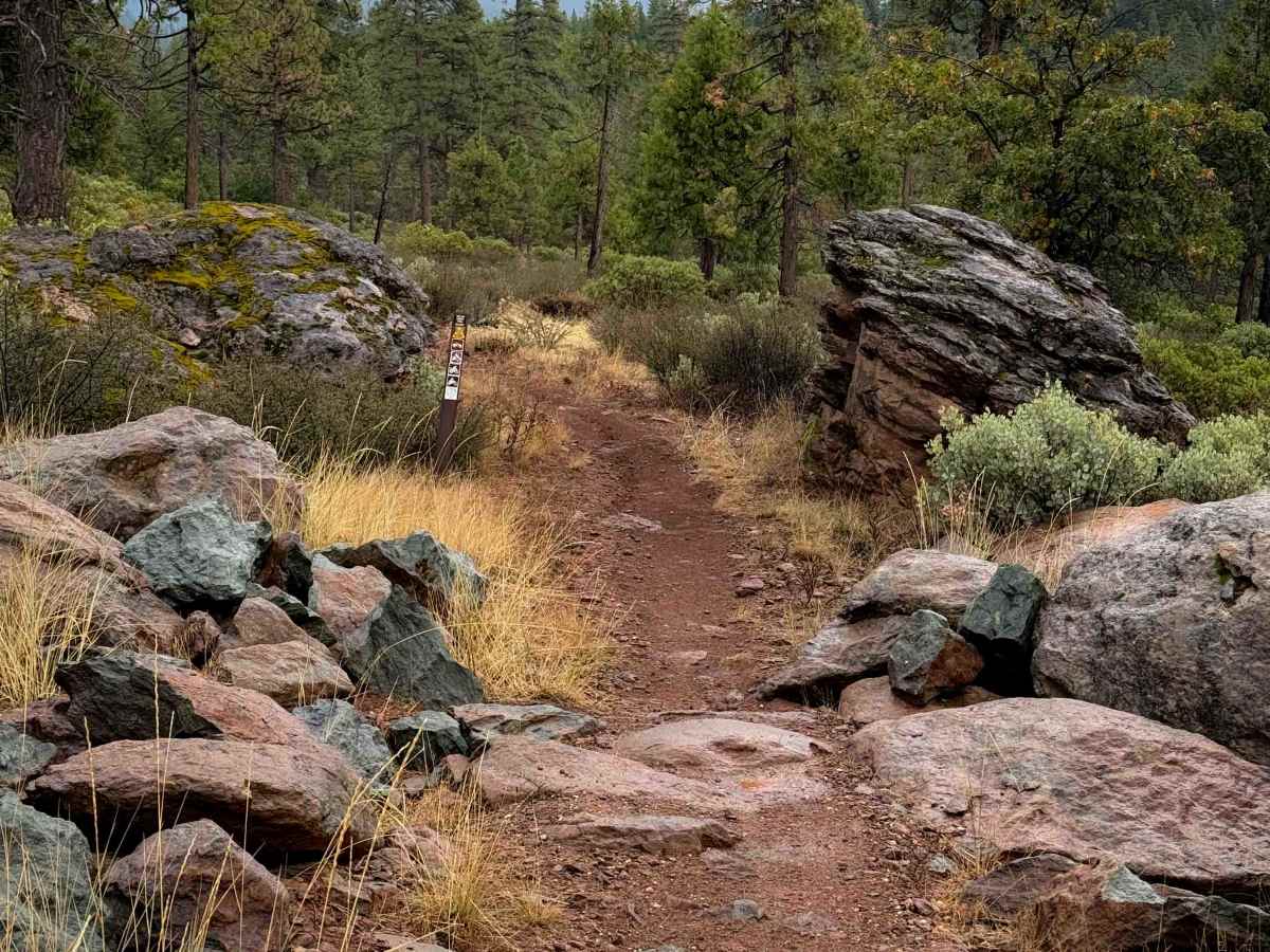 Taylor Creek  photo 4