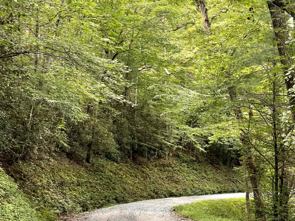 Shallow Creek Road photo 5