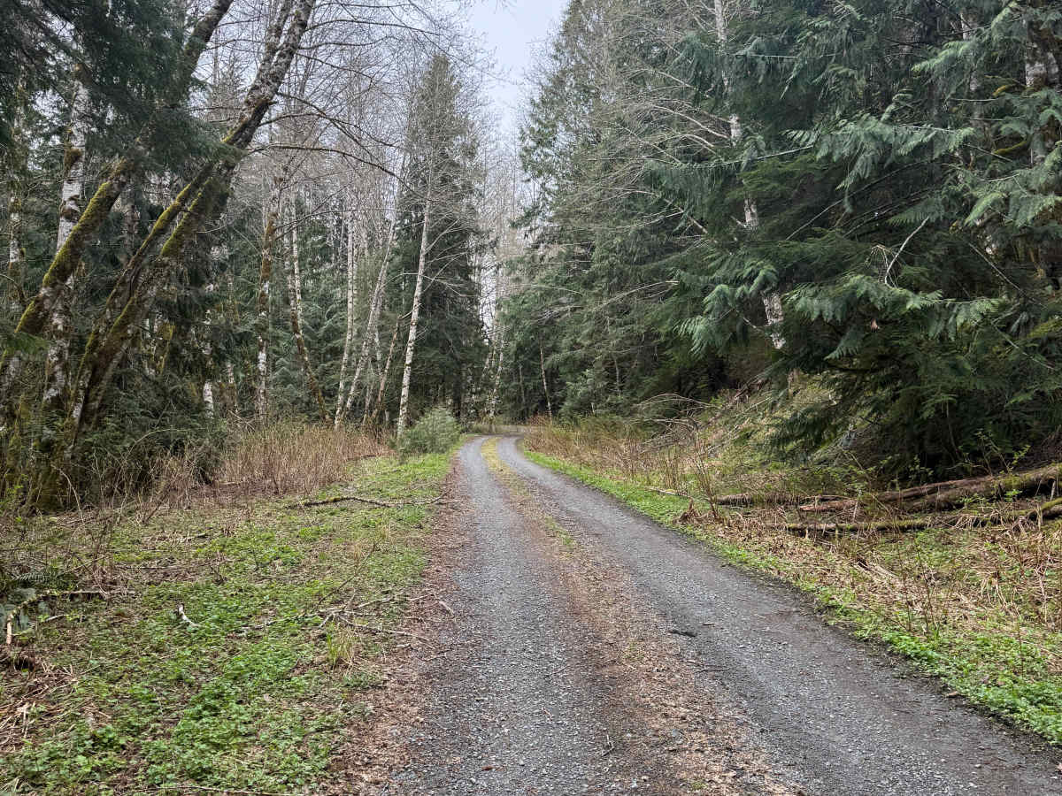 FlapJack - FS 2079 photo 3