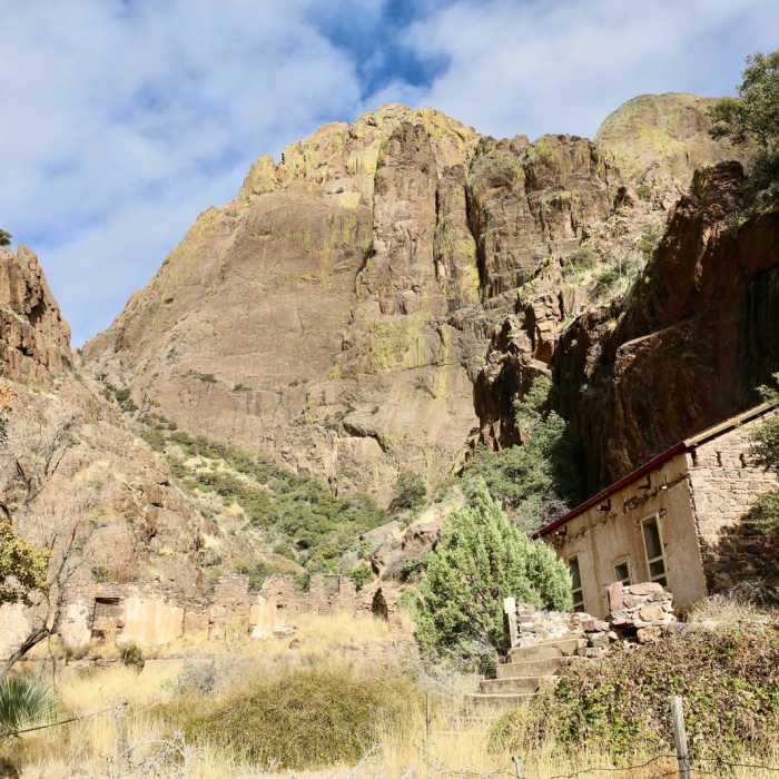 Near Dripping Springs Trail Near Dripping Springs Trail
