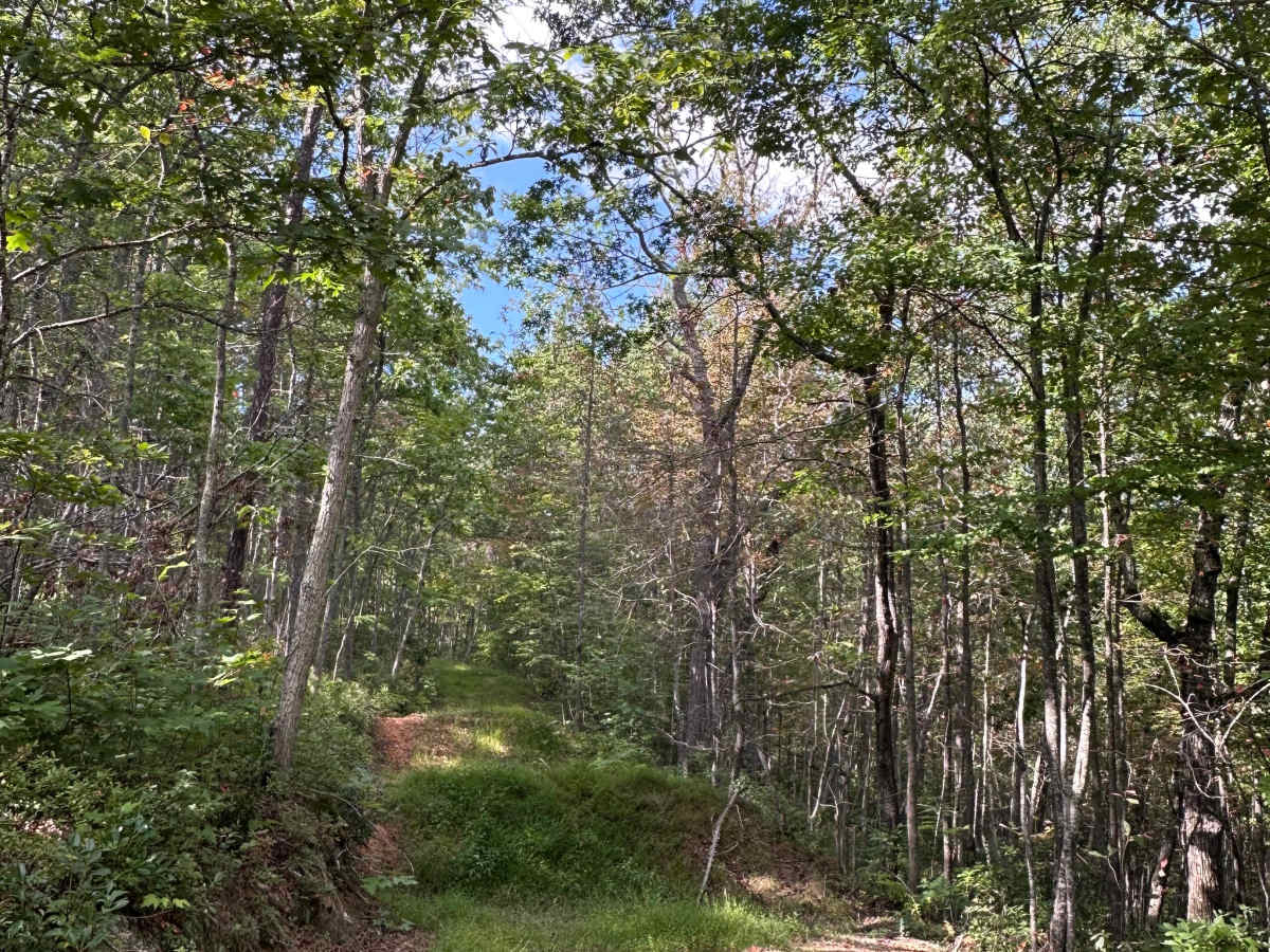Limekiln Spur  photo 4