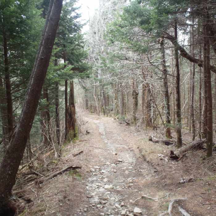 Near Mount Sterling Trail